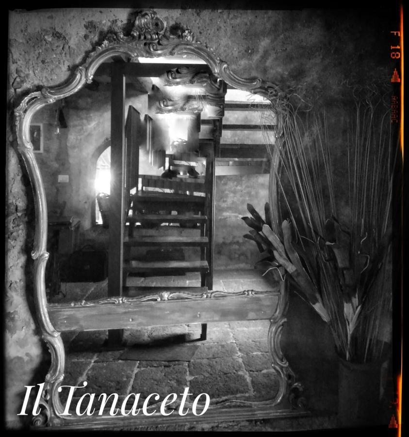 Il Tanaceto Hotel กัสตีลโยเน ดิ ซิชีเลีย ภายนอก รูปภาพ